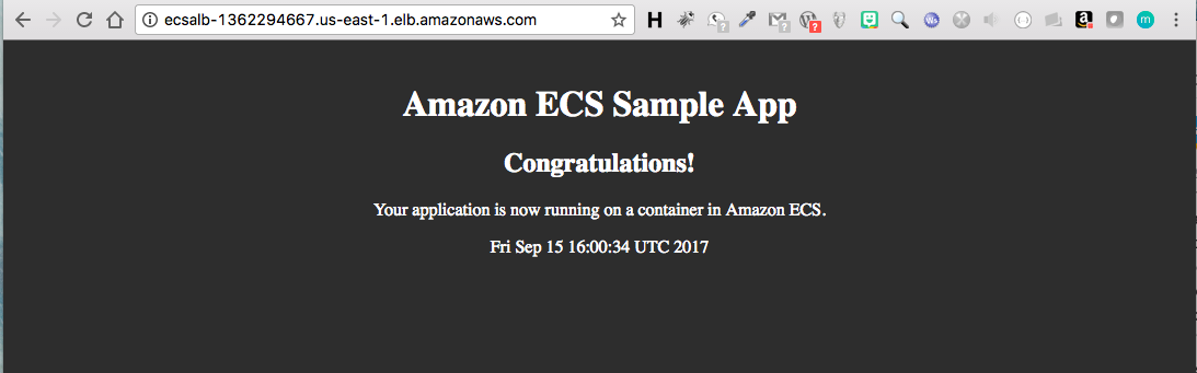 ECS Test App
